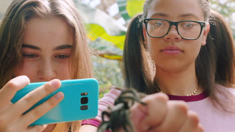 Phone,-photography-or-girl-with-a-spider