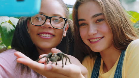 Spider,-friends-and-phone-with-girl-in-zoo