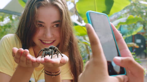 Tarantula,-spider-and-teenager-with-a-mobile-phone