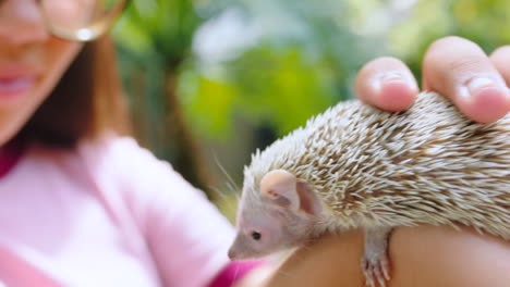 Animals,-nature-and-girl-with-hedgehog-in-hands
