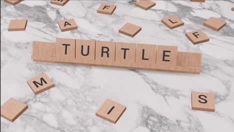 Schildkrötenwort-Auf-Scrabble
