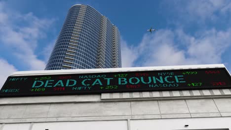 DEAD-CAT-BOUNCE-Stock-Market-Board