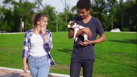 Cute-multi-ethnic-couple-walking-together-in-park-enjoying-the-day.-African-boy-is-holding-cute-little-jack-russell-terrier-and