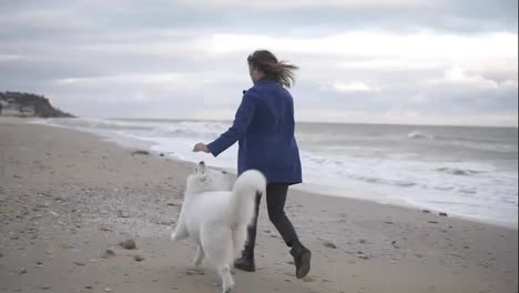 Back-view-of-attractive-young-woman-running-with-her-dogs-of-the-Samoyed-breed-by-the-sea.-White-fluffy-pet-on-the-beach-having