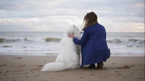 Back-view-of-a-white-samoyed-and-young-woman-sitting-together-on-the-sand-by-the-sea.-White-fluffy-pet-on-the-beach-looking-at