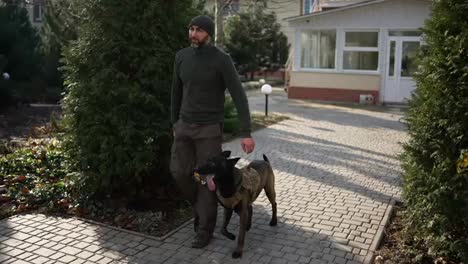 A-man-walks-by-house-yard-with-service-dog-in-military-protective-collar