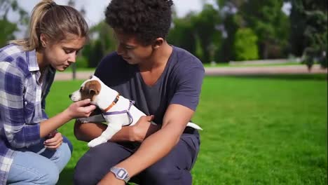Two-multiracial-young-friends-sitting-on-the-green-grass-in-park-enjoying-the-day-while-holding-cute-little-jack-russell-terrier
