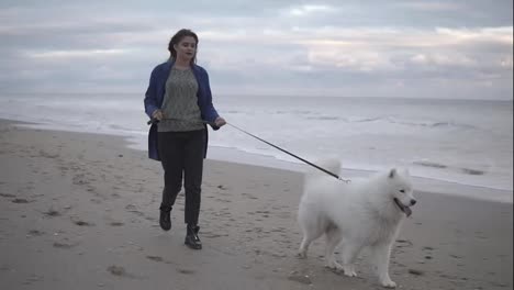 Young-attractive-woman-walking-with-samoyed-dog-on-the-sand-by-the-sea.-Slow-Motion-shot