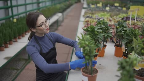 Mujer-Jardinera-Trabajando-Cuidando-Plantas-Y-Flores-En-Invernadero.