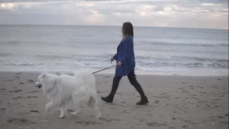 Pretty-girl-walking-with-samoyed-dog-on-the-sand-by-the-sea.-Slow-Motion-shot