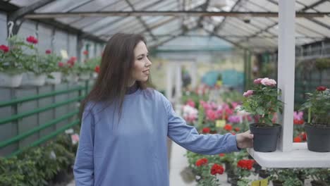 Young-woman-shopping-for-decorative-plants,-smell-the-pot-with-tiny-roses