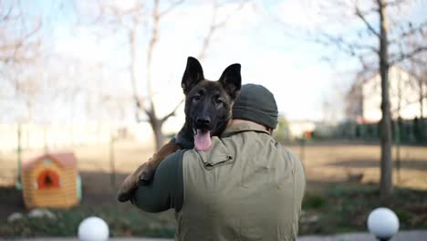Unrecognizable-trainer-holding-a-young-German-Shepherd-on-hands-and-walk