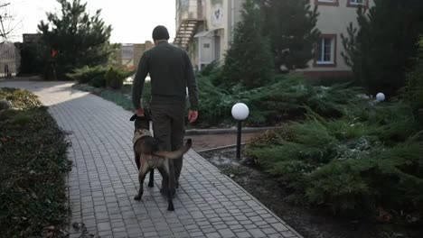 A-man-walks-by-house-yard-with-service-dog-in-military-protective-collar,-rear-view