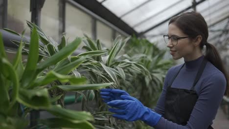 Florist-woman-in-greenhouse,-worker-inspecting-green-leaves