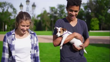 Two-multiracial-friends-walking-in-park-enjoying-the-summer-day.-Young-attractive-african-guy-is-holding-cute-little-jack-russell