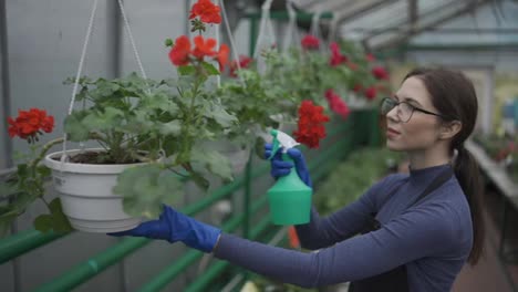 Gardener-working-in-botanical-garden,-greenhouse-worker-spraying-plants