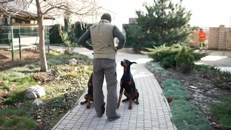 Rear-view-of-a-man-with-two-dobermans-near-the-country-house,-giving-them-threats