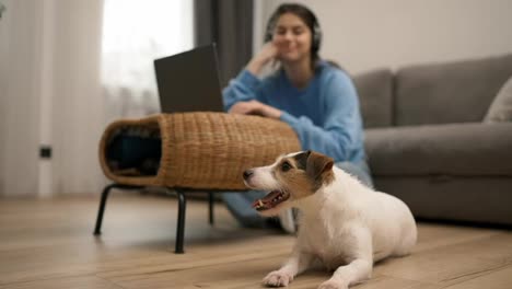 Young-woman-in-headphones-sitting-on-floor-with-laptop,-adore-her-dog-sitting-net-her