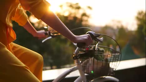 Close-Up-view-of-and-unrecognizable-woman's-hands-holding-a-handlebar-while-riding-a-city-bicycle-with-a-basket-and-flowers.-Lens