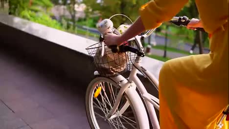Close-Up-view-of-and-unrecognizable-woman-riding-a-city-bicycle-with-a-basket-and-flowers.-Steadicam-shot.-Slow-Motion