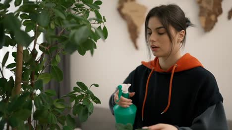 Woman-spraying-green-flower-at-home,-taking-care-of-home-plants