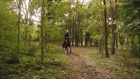 Horse-riding-in-the-autumn-forest.-Professional-female-rider-gallop-in-park:-young-female-rider-on-the-horse-on-a-shady-forest