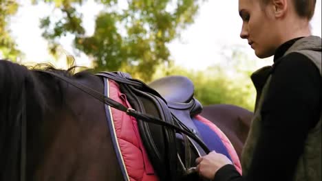 Young-beautiful-female-rider-puts-a-saddle-on-her-horse-and-prepares-animal-for-dressage,-tying-up-leather-strap-of-saddle