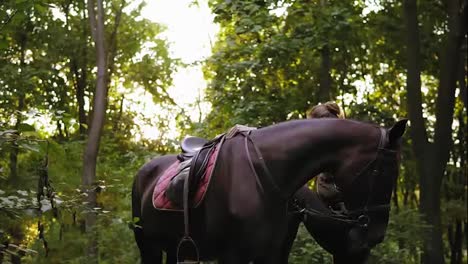 Weibliche-Reiterin-Klettert-An-Einem-Sonnigen-Tag-Im-Wald-Mit-Hilfe-Eines-Steigbügels-Zu-Pferd