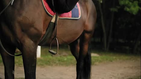 Close-Up-view-of-unrecognizable-professional-horse-rider-dismounting-from-the-horse,-jumping-on-the-ground