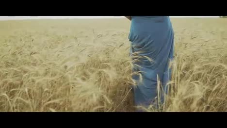 Back-view-of-unrecognizable-woman's-legs-in-long-blue-dress-walking-through-golden-wheat-field.-Freedom-concept.-Slow-Motion-shot