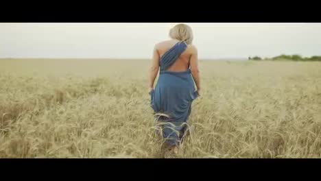 Back-view-of-unrecognizable-woman-with-blonde-hair-in-long-blue-dress-walking-through-golden-wheat-field.-Freedom-concept