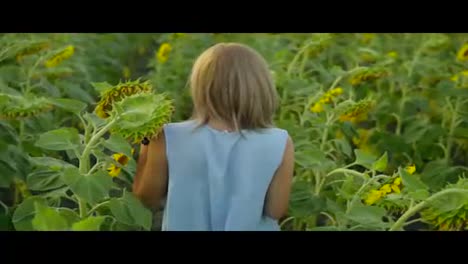 Back-view-of-young-blond-woman-walking-in-a-field-of-sunflowers-then-smelling-a-sunflower,-enjoying-nature.-Slow-Motion-shot