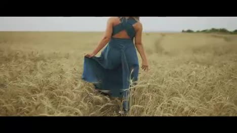 Back-view-of-young-woman-with-blonde-hair-in-long-blue-dress-walking-through-golden-wheat-field-then-turning-around-and-looking