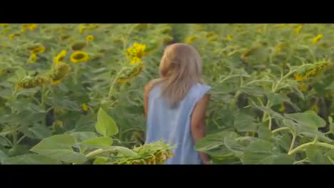 Young-attractive-blond-woman-walking-in-a-field-of-sunflowers,-turning-around-and-looking-in-the-camera.-Slow-Motion-shot