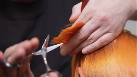 Close-Up-view-of-redhead-woman's-hair-being-cut-by-a-professional-hairdresser-in-beauty-salon.-Male-hands-holding-a-hair-strand