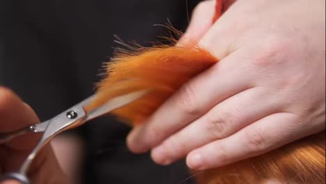 Male-hands-holding-a-hair-strand-and-cutting-it-using-scissors-and-comb.-Close-Up-view-of-redhead-woman's-hair-being-cut-by-a