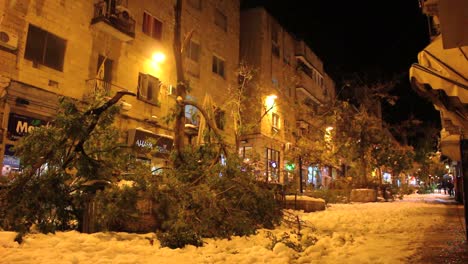 Ángulo-De-Visión-Baja-De-Un-árbol-Caído-En-Jerusalén-Por-La-Noche-Tras-Una-Rara-Caída-De-Nieve