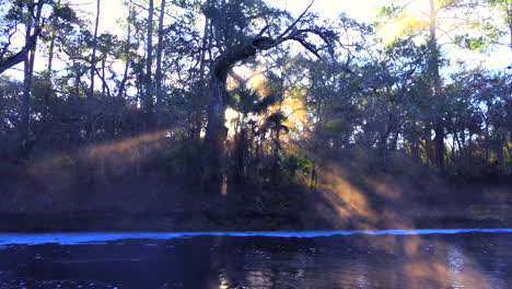 Morning-fog-rises-in-the-Florida-Everglades