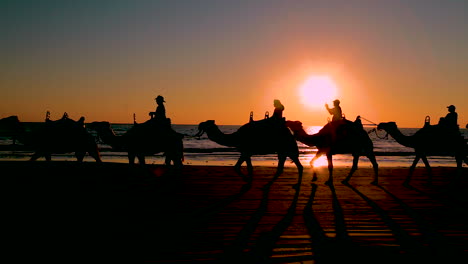 A-camel-train-crosses-Broome-Beach-in-Western-Australia-at-sunset-1