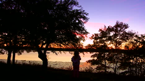 A-person-stands-before-a-beautiful-lake-at-dusk