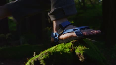 Closeup-of-feet-as-they-climb-over-a-moss-covered-log-in-a-forest