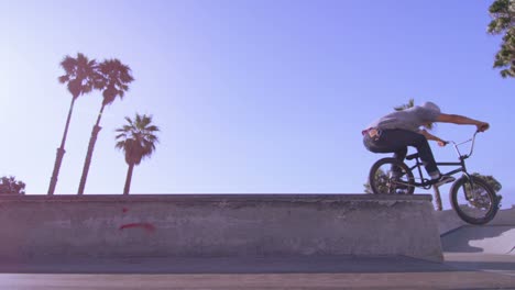 Low-angle-view-of-a-BMX-bike-rider-doing-a-wheelie-at-a-skatepark-1
