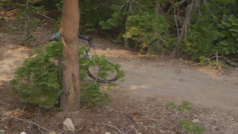 The-camera-pans-right-to-reveal-a-mountain-biker-riding-on-a-dirt-path-through-a-forest