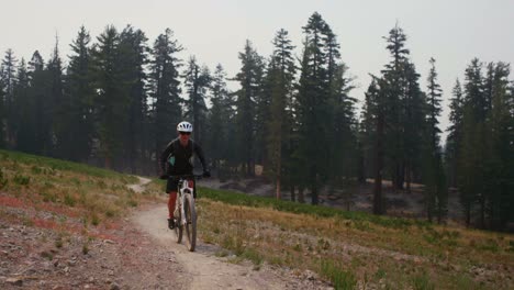 A-mountain-biker-rides-on-a-dirt-path-away-from-a-forest