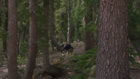 A-mountain-biker-rides-in-a-forest-2