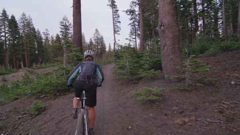 POV-shot-of-a-mountain-biker-riding-on-a-dirt-path-through-a-forest