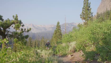 A-mountain-biker-rides-on-a-path-near-a-forest