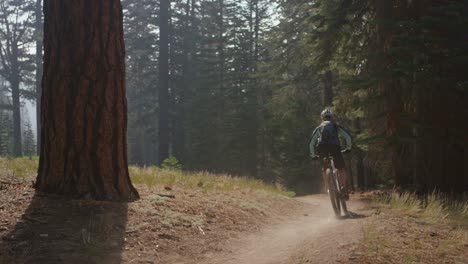 A-mountain-biker-rides-in-a-forest-3