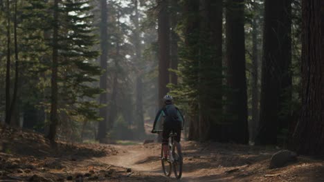 A-mountain-biker-rides-in-a-forest-4