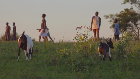 African-niños-walk-along-a-ridge-above-their-herd-of-goats